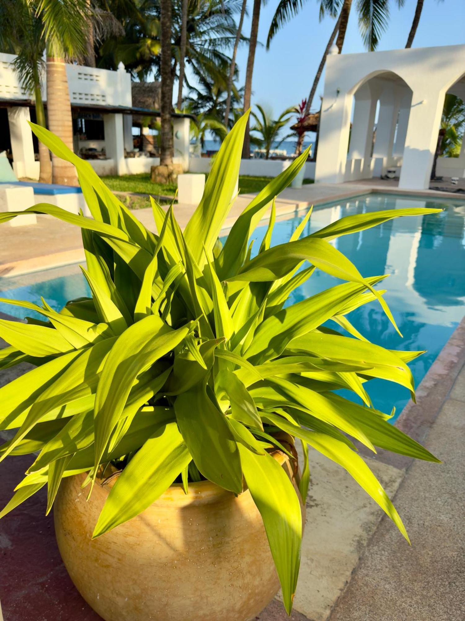 Sawa Sawa Beach House Msambweni 外观 照片