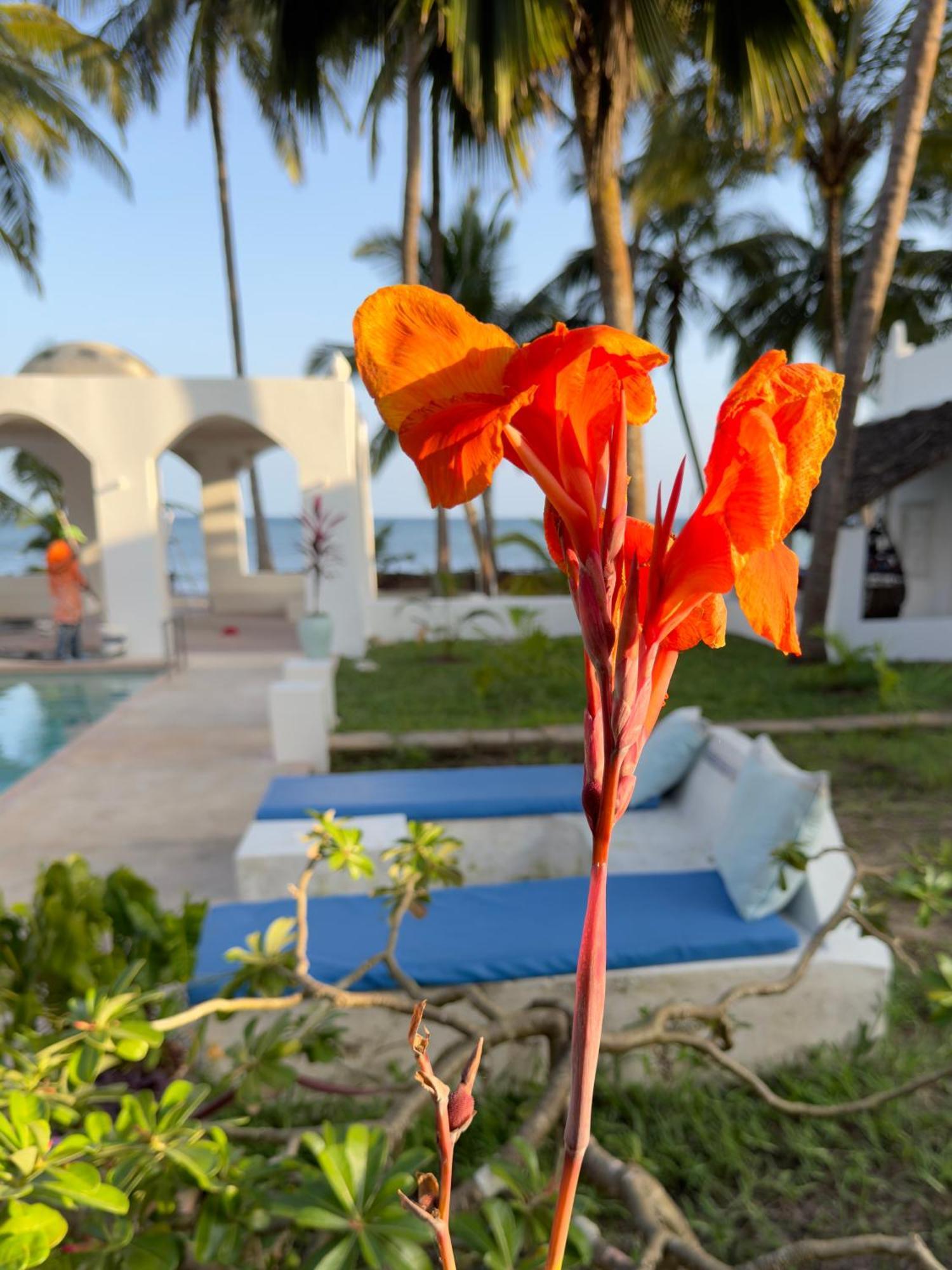 Sawa Sawa Beach House Msambweni 外观 照片
