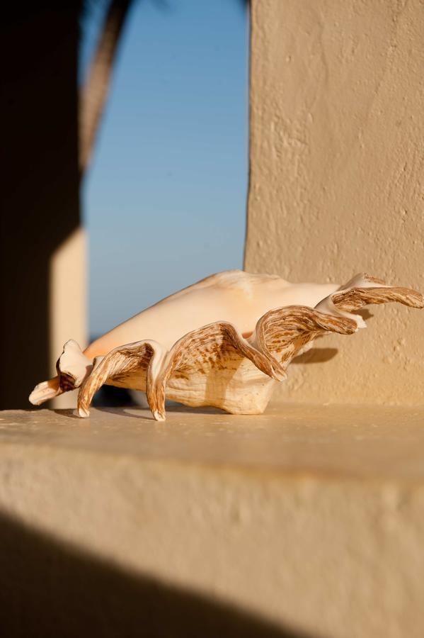 Sawa Sawa Beach House Msambweni 外观 照片
